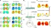 Talwart_et_al_2023-1240×677