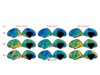 Website-FIG-1-pdf